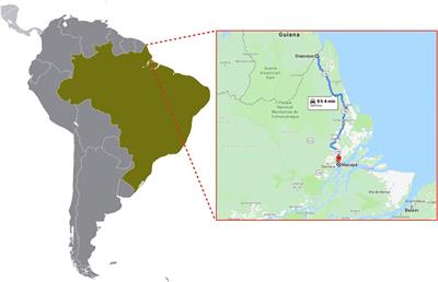 Genome-wide Association Study Reveals New Loci Associated With Pyrethroid Resistance in Aedes aegypti